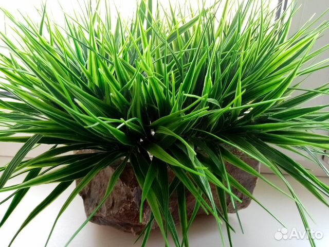 Кашпо из камня с искусственной травой