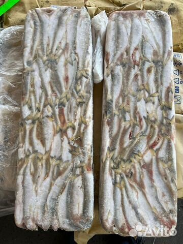 Корюшка нр 20-21см свежемороженная