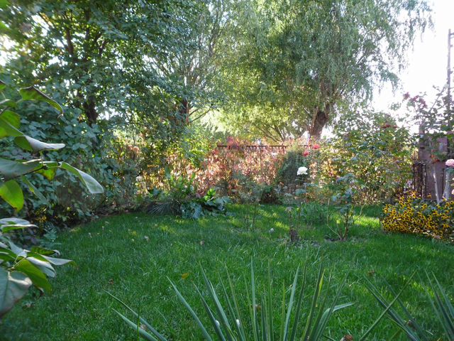 Участок 3,5 сот. (ИЖС)