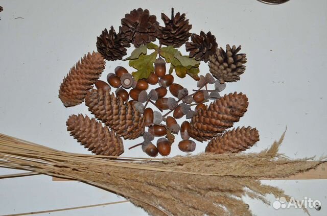 Набор из шишек, желудей для декора, поделок