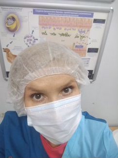 Кастрация и стрижки кошек, ветеринарный врач