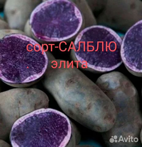 Картофель Элитный