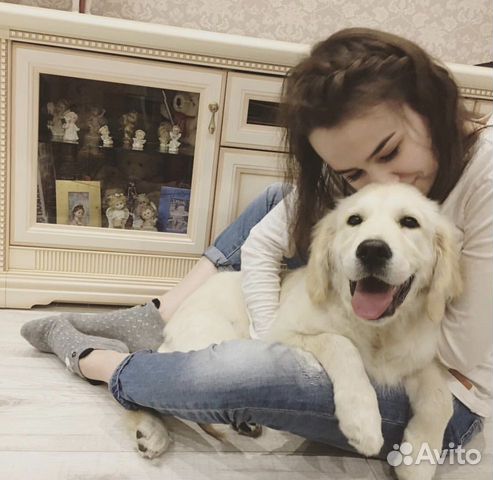 Передержка животных