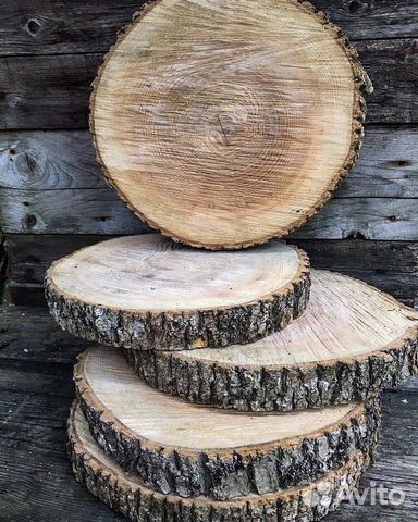 Спилы дерева