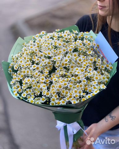 Букет из 25 веток Ромашек (Танацетум)