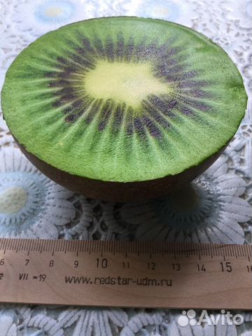 Мялка Антистресс