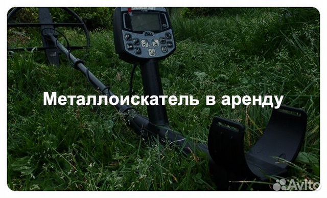 Аренда металлоискателя