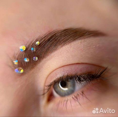 Обучение на бровиста