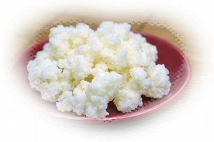 Кефирный тибетский молочный гриб. Бул. Комарова