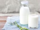 Действующий бизнес по переработке молока
