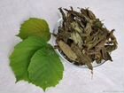 Чай из листьев смородины объявление продам
