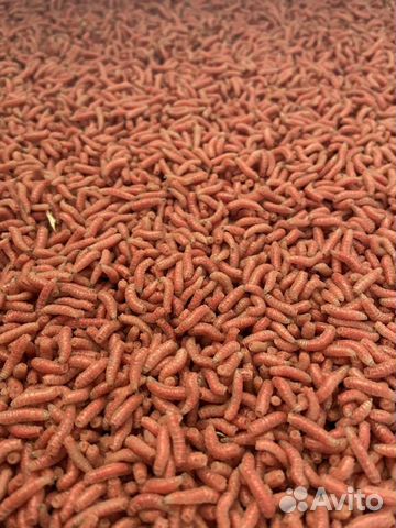 Опарыш оптом