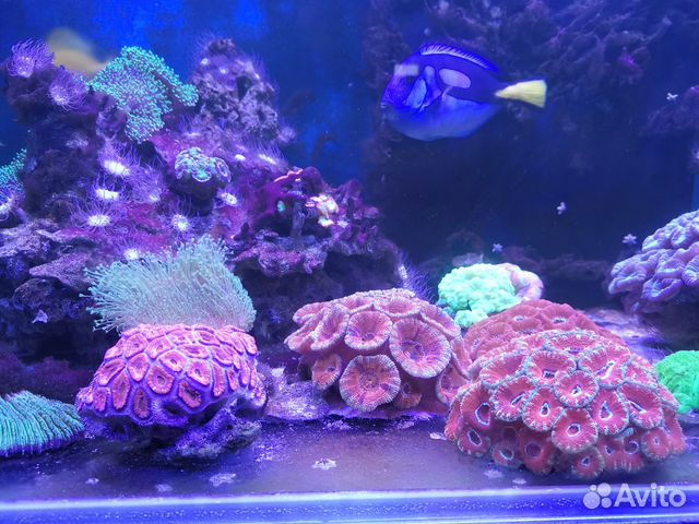 Морской аквариум 360 литров