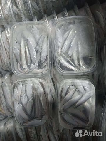 Тюлька камская