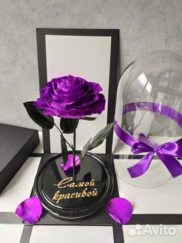 Роза в Колбе Самой красивой «Ф»