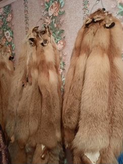 Шкура лисы, в наличии несколько шкур