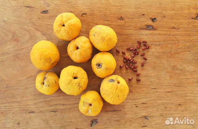 Хеномелес Японский, семена