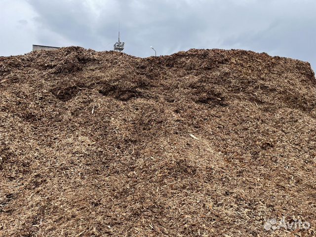 Кора (Прелая, Свежая)