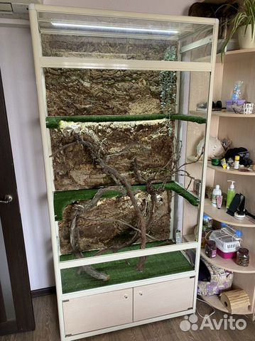 Террариумы для игуан, лемуров, галаго, обезьянок