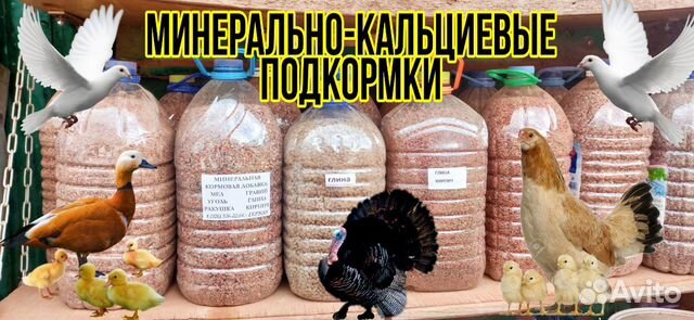 Минерально-кальциевые подкормки для голубей и с/х