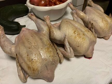 Мясо домашнего бройлера