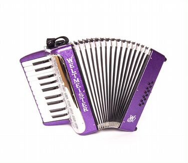 Аккордеон детский Weltmeister