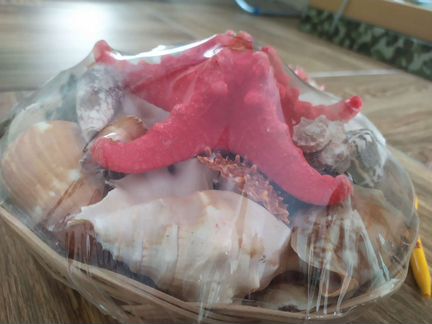 Наборы ракушек