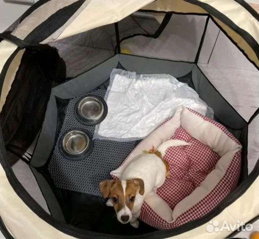 Вольер для домашних животных новый