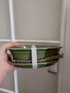 Бонсайница + акад 1л