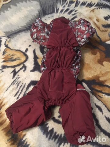 Одежда для собак