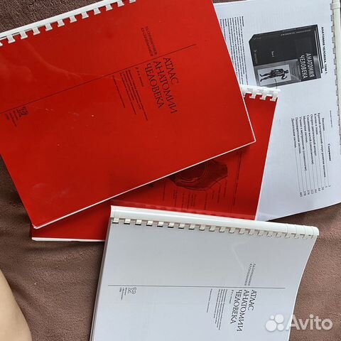 Атлас Синельникова анатомия человека (2 тома) купить в Нижнем Новгороде ...