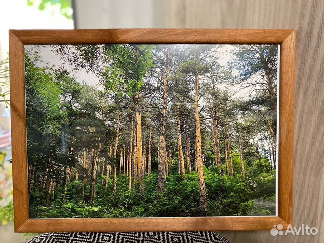 Фотокартина 