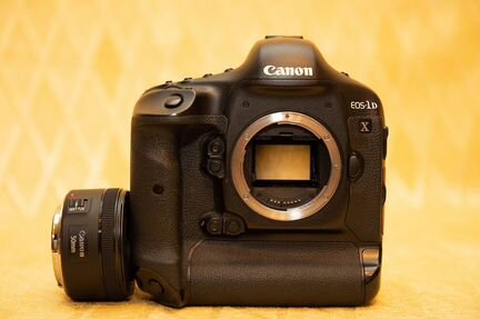 Canon 1DX. Идеал