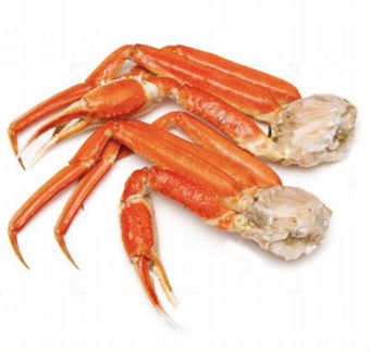 Конечности стригуна