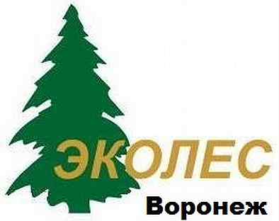 Эколес. Эколес Воронеж. Эколес логотип. Эколес на Пирогова Воронеж. Магазин Эколес в Воронеже.