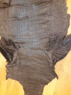 Шкура большого крокодила