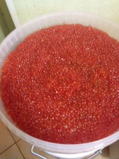 Икра красная. Горбуша. Опт. 11 кг. Цена за 1 кг