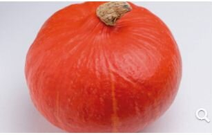 Семена Тыквы 