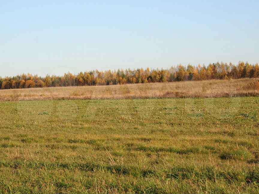 Сарожа. Участки в тихвинском районе. Участки в тихвинском районе. Участки в тихвинском районе. Деревня свирь тихвинский район.