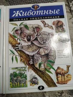 Энциклопедия