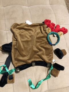 Костюм для собаки