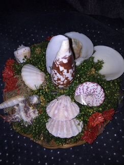 Экибана из ракушек