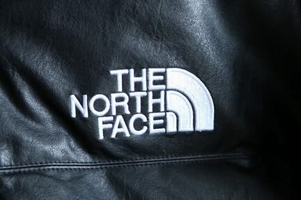 Пуховик The North Face Supreme