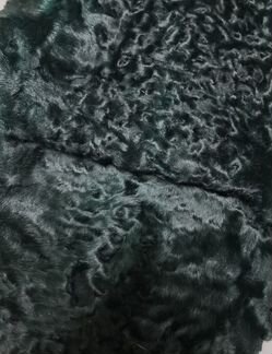 Каракуль узбекский