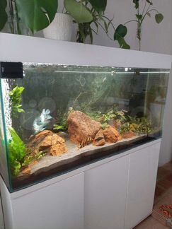 Большой Аквариум с тумбой примерно 300 литров
