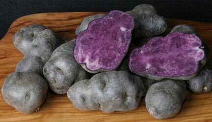 Фиолетовый картофель