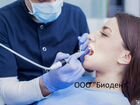 Главный врач(Лечащий) стоматологической клиники