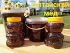 Алтайский мед объявление продам