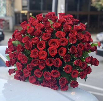 101 красная роза