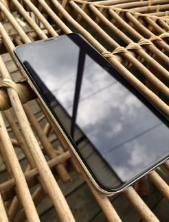 iPhone X